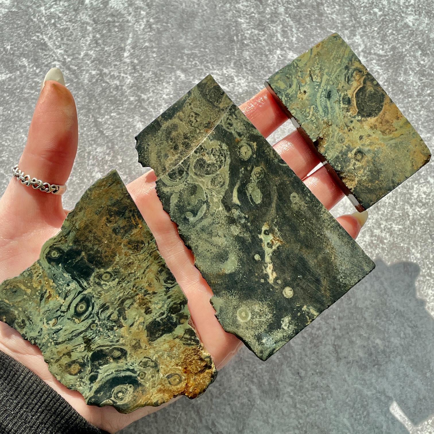 Rough - Slab - Kambaba Jasper - 1KG Rough - Slab - Kambaba Jasper - 1KG